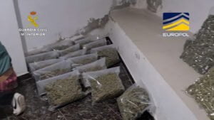 Detenidas 44 personas en una operación internacional contra el tráfico de drogas con más de cuatro millones de euros y 26 vehículos intervenidos
