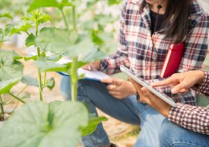 Agricultura abre la convocatoria de ayudas para la formación de profesionales del medio rural por casi 2 millones de euros