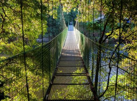 Descubre la serenidad del río Tambre: De PonteNafonso a la Central Hidroeléctrica, un oasis de tranquilidad e historia en plena naturaleza