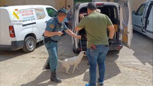 Detenidos los Responsables de una Protectora Fraudulenta por Maltrato Animal