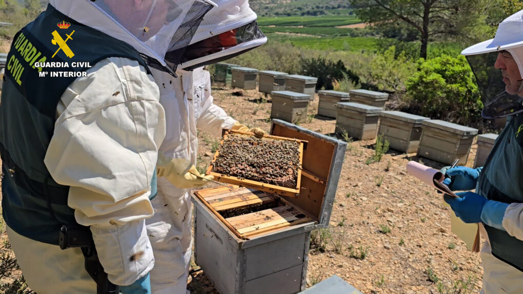 Guardia Civil Investiga a 11 Personas por Comercializar Miel Ecológica Contaminada de China