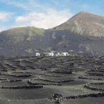 La viticultura en Lanzarote ofrece una experiencia única con viñedos cultivados en suelos volcánicos, que no solo crean un paisaje impresionante, sino que también reflejan un modelo sostenible y adaptado a su entorno natural.