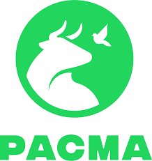 PACMA solicita a la RFEF una campaña para visibilizar la adopción de perros y luchar contra el abandono animal