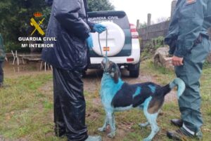 La Guardia Civil denuncia a un hombre por maltrato animal en Marín