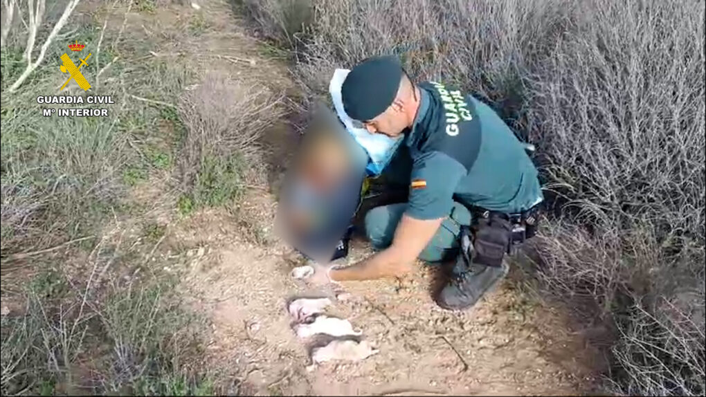 Investigado por abandonar seis cachorros en un saco de pienso en Almería