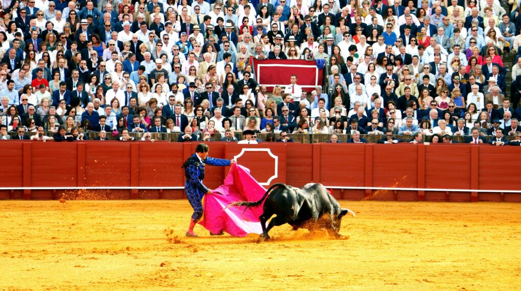 PACMA rechaza el Premio Nacional de Tauromaquia: 'Es un insulto a la mayoría social'