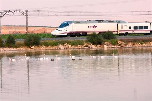 El Gobierno amplía las ayudas al transporte público hasta junio de 2025