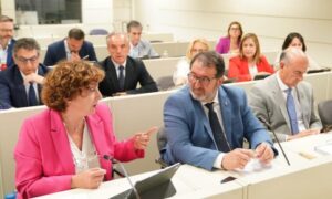 El Senado aprueba la moción del PP para mejorar la red eléctrica con el rechazo del PSOE